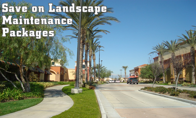 Commercial landscape irvine