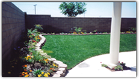 Residential landscape  phoenix